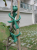 Green Jem 2pc Decorative Plant Ties(2)